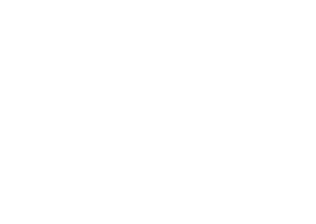 TheSoulClinic's logo